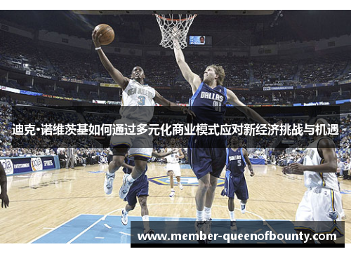 迪克·诺维茨基如何通过多元化商业模式应对新经济挑战与机遇