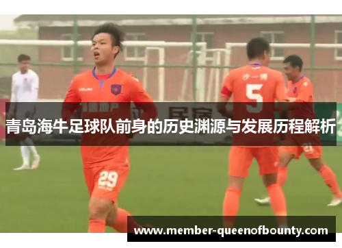 青岛海牛足球队前身的历史渊源与发展历程解析 青岛海牛足球队前身的历史渊源与发展历程解析