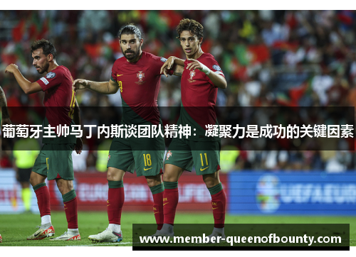 葡萄牙主帅马丁内斯谈团队精神：凝聚力是成功的关键因素