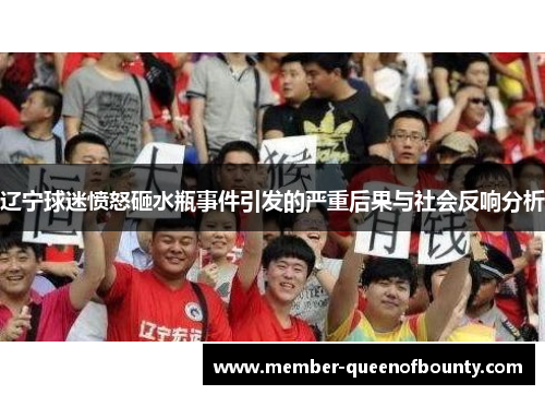 辽宁球迷愤怒砸水瓶事件引发的严重后果与社会反响分析