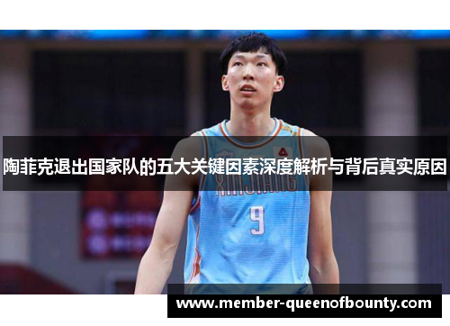 陶菲克退出国家队的五大关键因素深度解析与背后真实原因