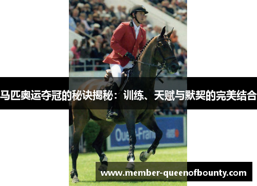 马匹奥运夺冠的秘诀揭秘：训练、天赋与默契的完美结合